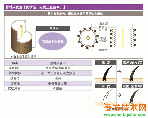 染发剂的种类辨别 染发技术 我爱美发 手机版 Meifajishu Com