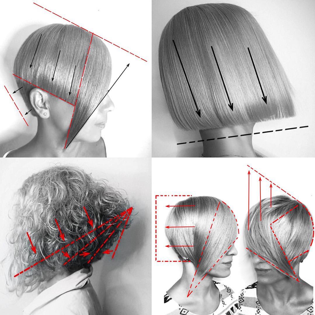 想剪好发型,你要先看懂发型结构图 